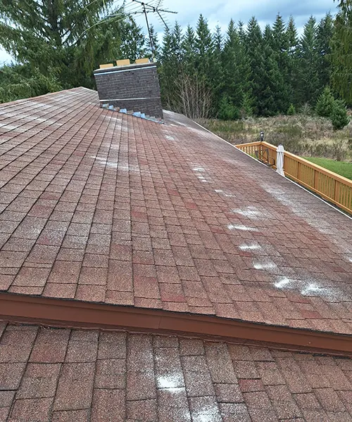Roof Cleaning in Seattle 